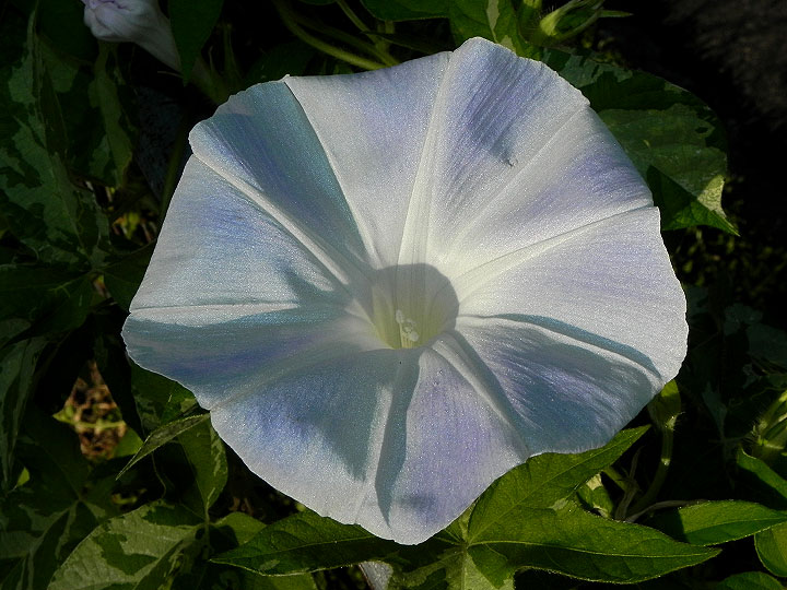dscn8954