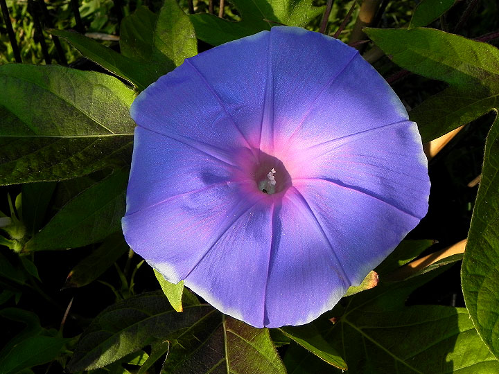 dscn8956