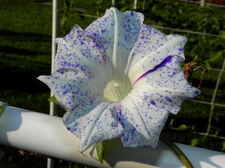 dscn8982