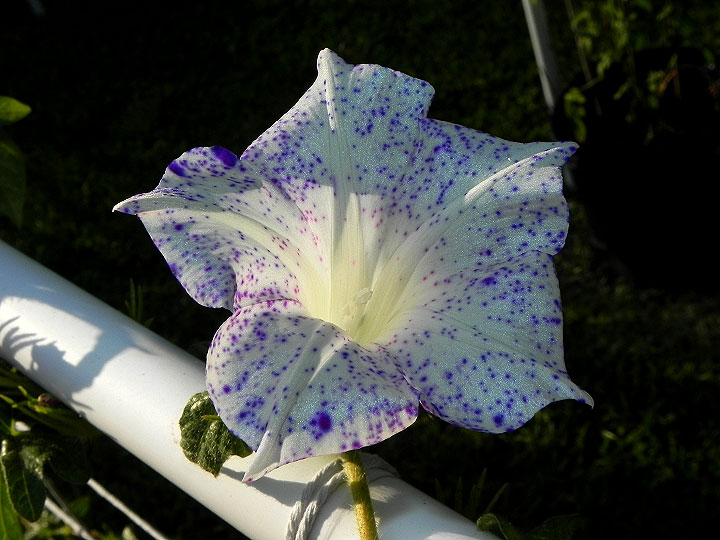 dscn8983