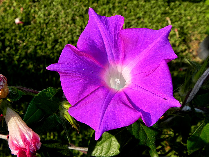dscn9019