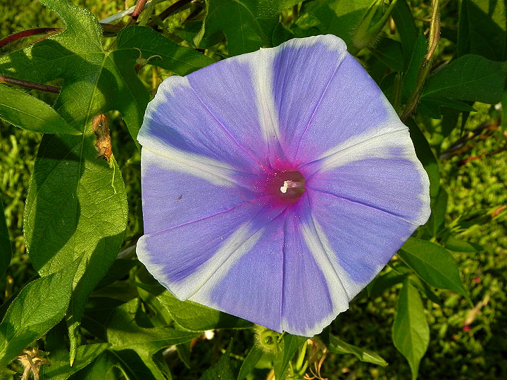 dscn9045