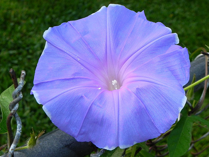 dscn9139