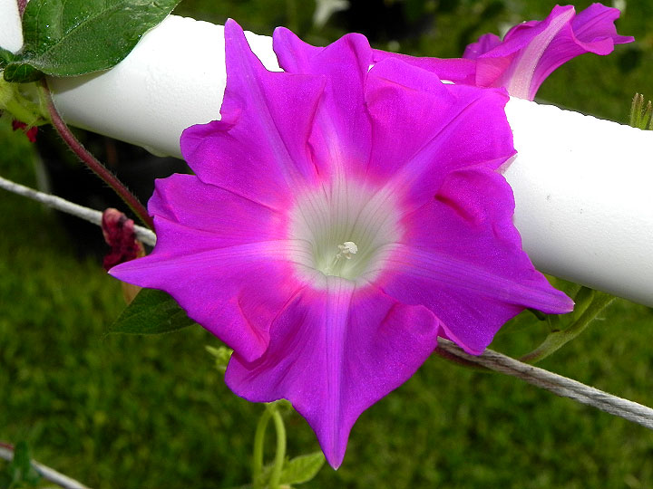 dscn9143_01