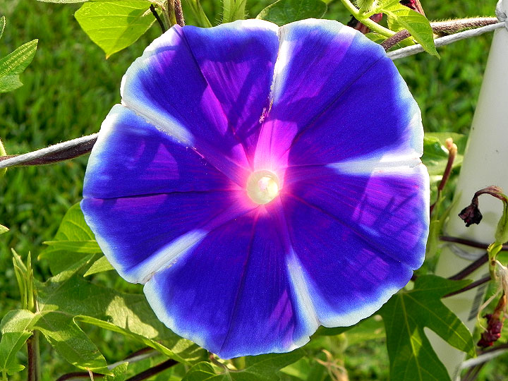 dscn9178