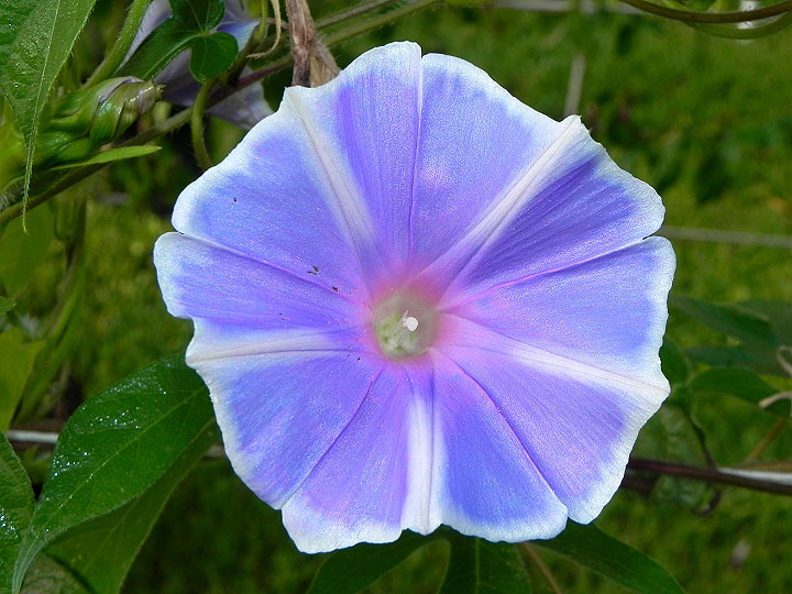 dscn9204