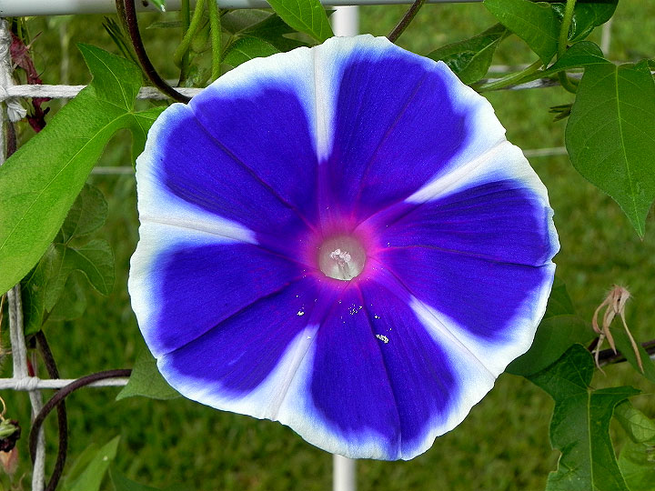 dscn9295