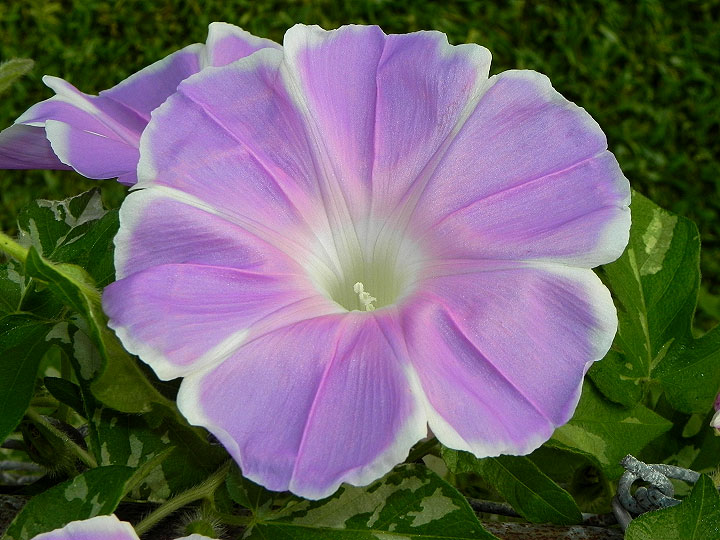 dscn9303