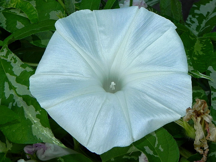dscn9348