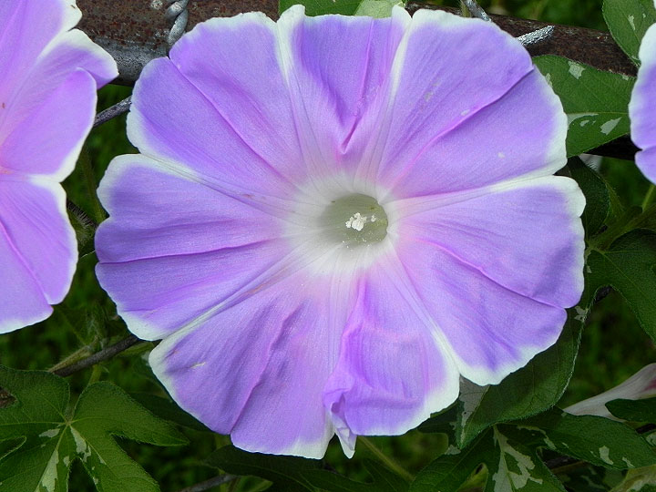 dscn9418
