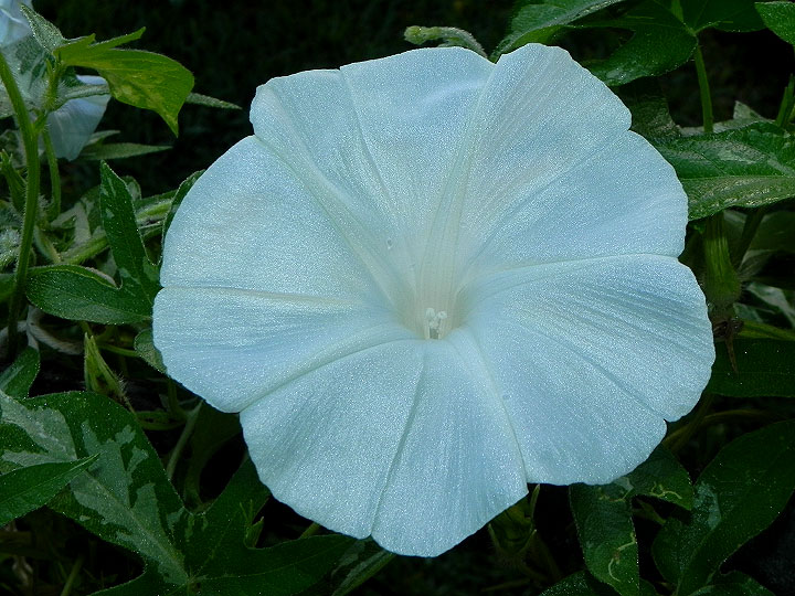 dscn9441