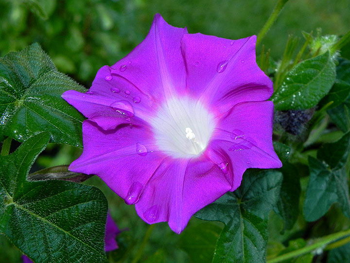 dscn9448