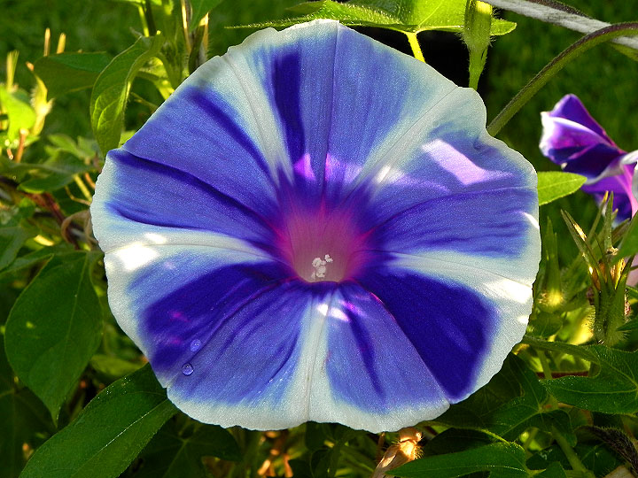 dscn9486