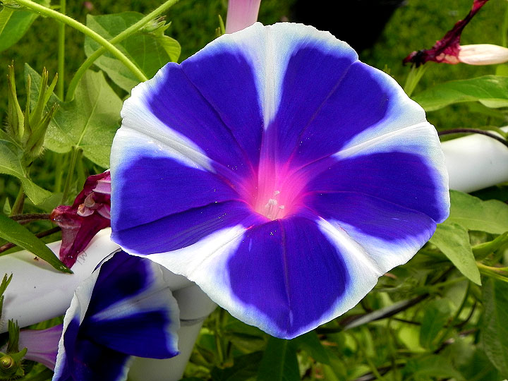 dscn9605