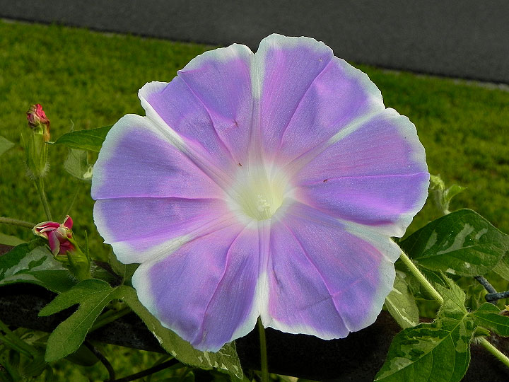 dscn9610