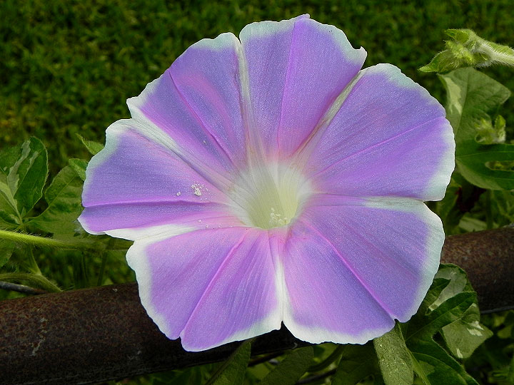 dscn9611