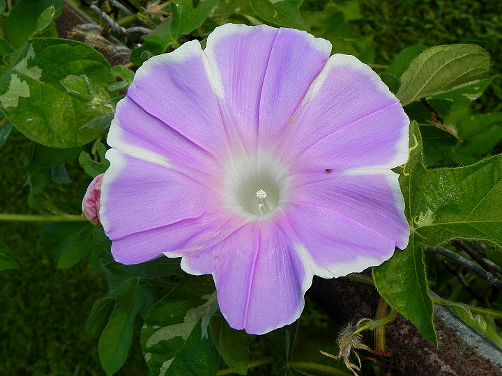 dscn9612