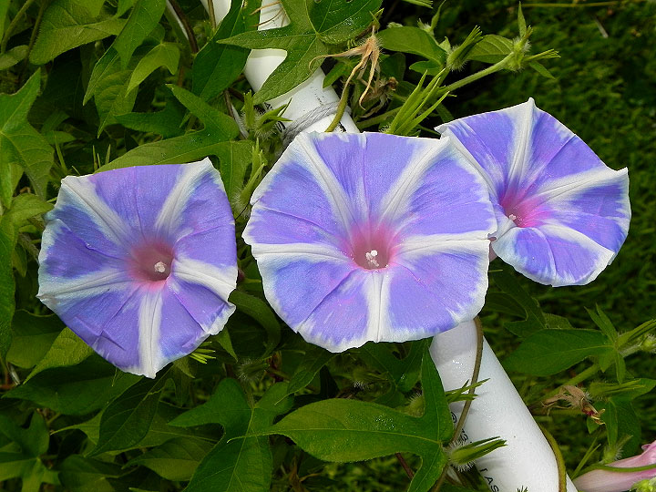 dscn9620