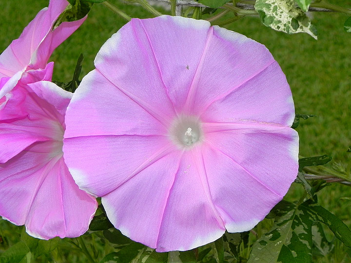 dscn9676