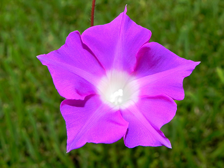 dscn9677