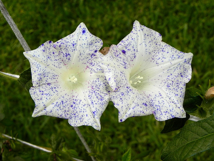 dscn9721