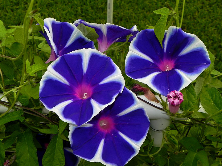 dscn9733