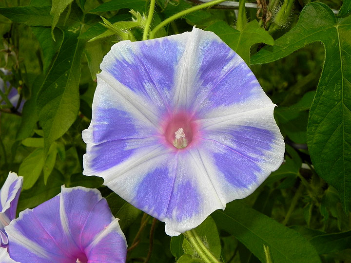 dscn9764