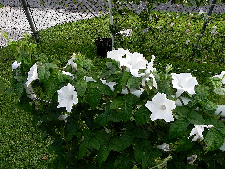 dscn9826