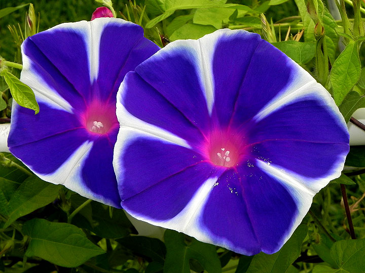 dscn9869