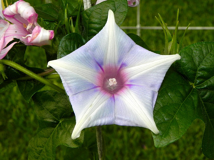 dscn9879