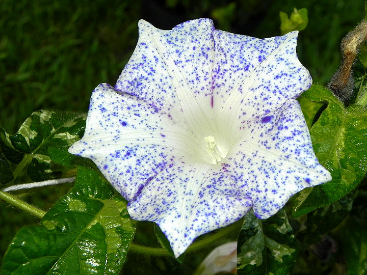 dscn9964