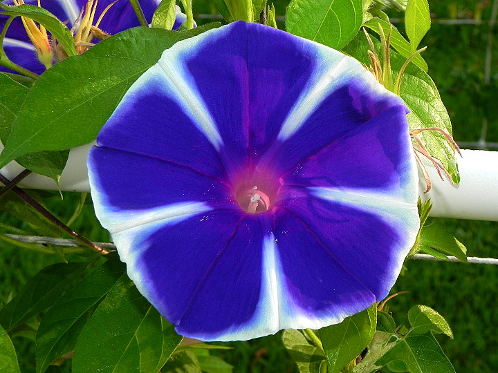dscn9996