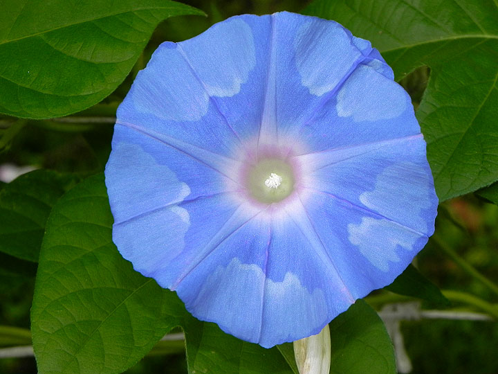 1DSCN0866