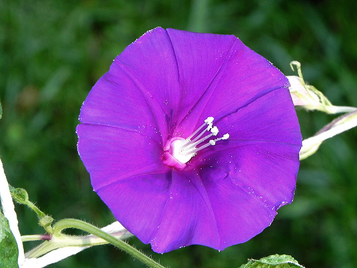 1DSCN0905