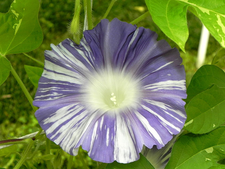 1DSCN2387