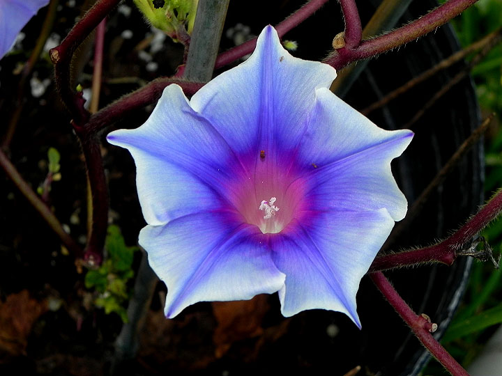 1DSCN2449