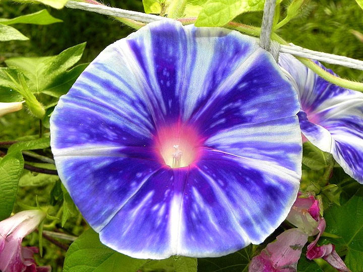 1DSCN3034