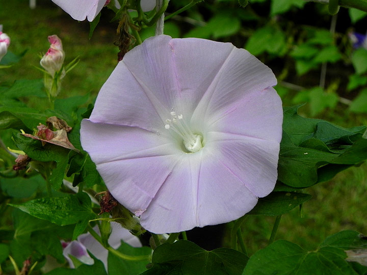 1DSCN3641