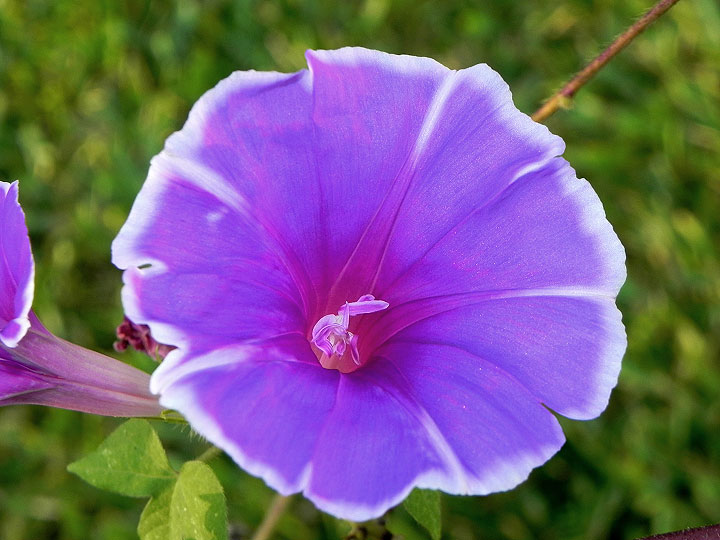 1DSCN3689