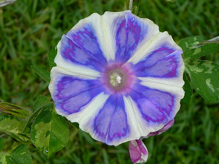 1DSCN4064