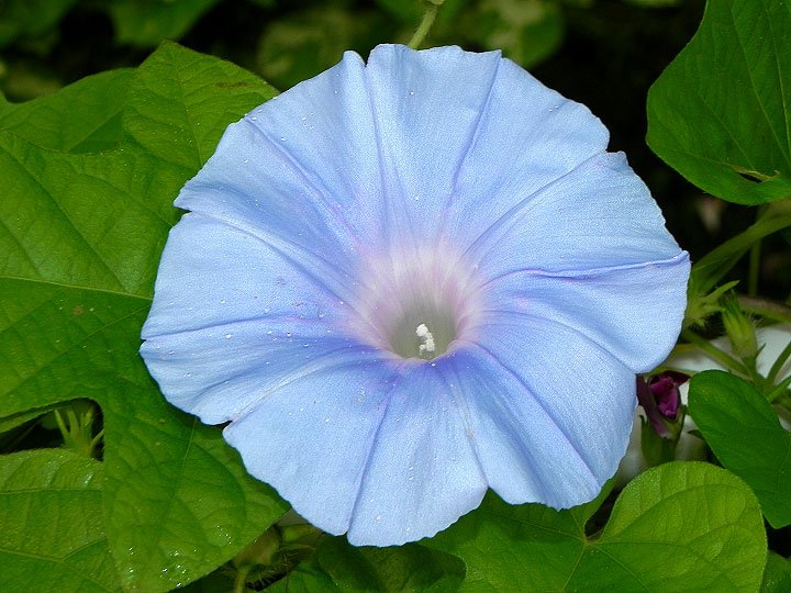 1DSCN4859