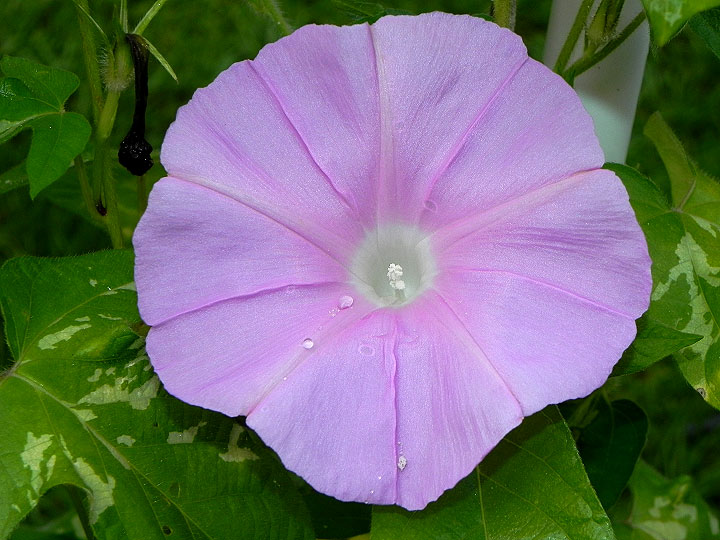 1DSCN7676