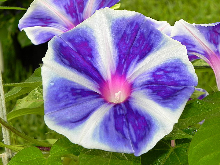 1DSCN9691