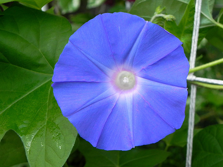 2DSCN0337
