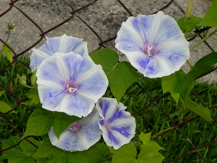 2DSCN0959