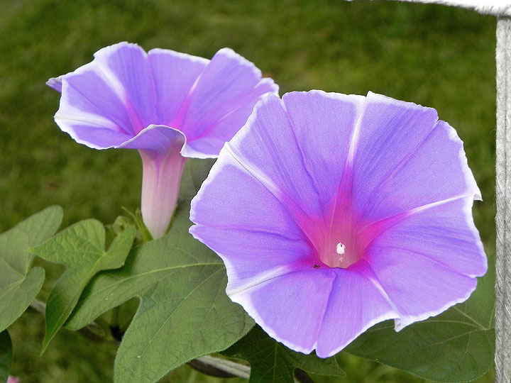 2DSCN1044