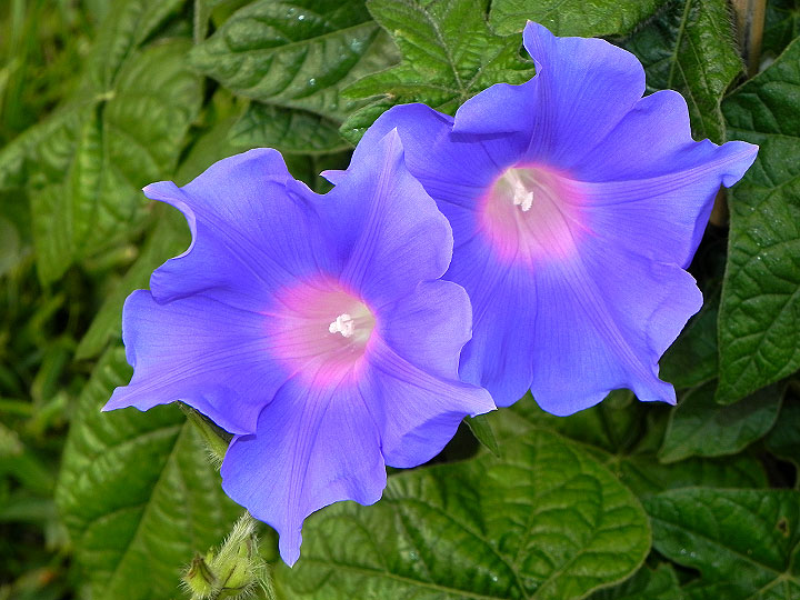2DSCN2204