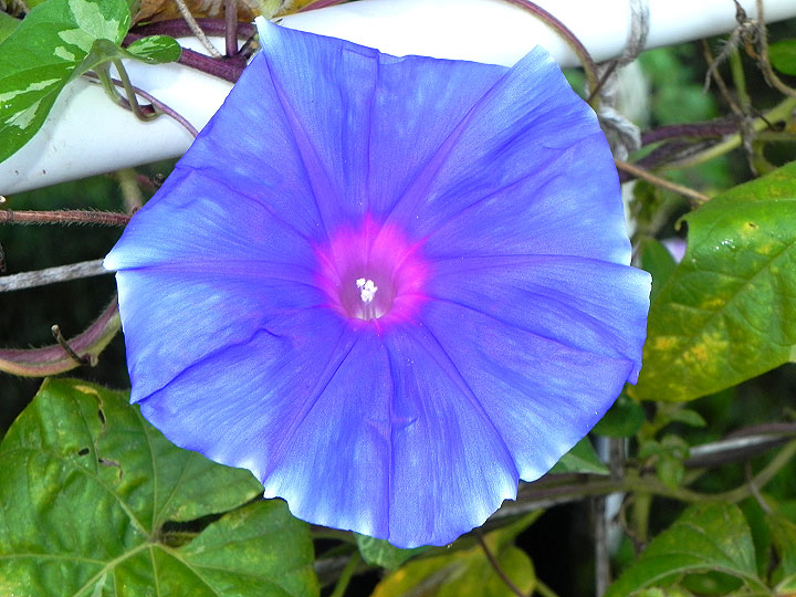2DSCN3730