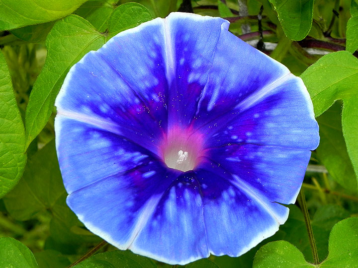 2DSCN7103