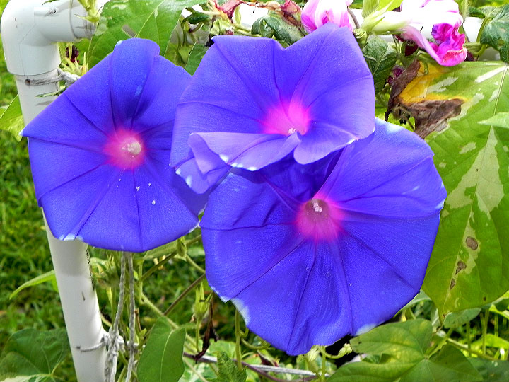 3DSCN0384